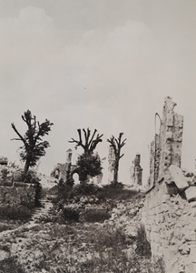 View of destroyed trees, rubble, and the remnants of a stone building