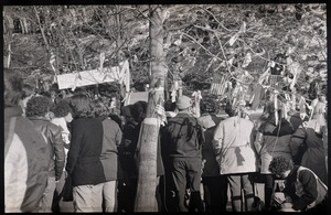 Crowd gathered to greet the Iran hostages at Highland Falls, N.Y., standing beneath a tree decked out in American flags and yellow ribbons