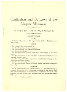 Constitution and by-laws of the Niagara Movement