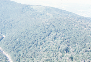 Aerial oblique view to the north from the Taconic Trail (NY Route 2) and Jim Smith Hill in western Hopkins Forest on 14 July 1971.