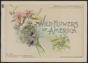 Wild flowers of America : flowers of every state in the American Union. Vol. 1., No. 06
