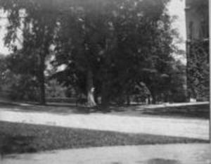 Chapin Hall site, 1897