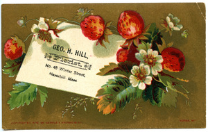 Geo. H. Hill, florist