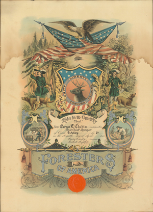 Past Chief Ranger certificate issued by Court Fidelity, No. 6, to George F. Clavin, 1912 April 11