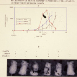 Regression of Mouse Mammory Ephithelial Cell