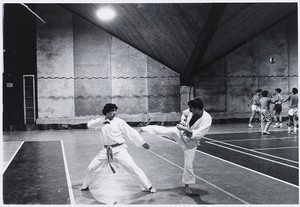 Martial arts demonstration
