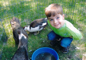 Library petting zoo