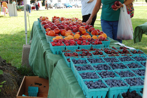 Wilmington Farmers Market--1