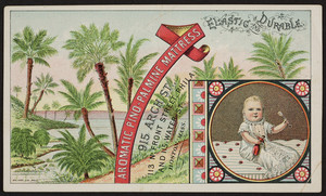 Trade cards for the Aromatic Pino-Palmine Mattress, 915 Arch Street, 113 North Front Street, Philladelphia, Pennsylvania and 115 Water Street, Boston, Mass., undated