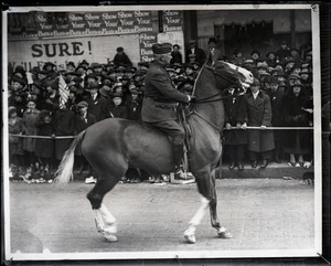 Maj. Gen. Clarence R. Edwards on horseback in welcome home parade for Yankee Division