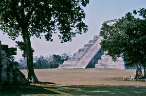 Trees and pyramids