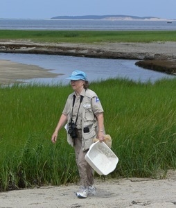 Kathy McGinley (Audubon Society volunteer) walking by a marshy inlet, Wellfleet Bay Wildlife Sanctuary