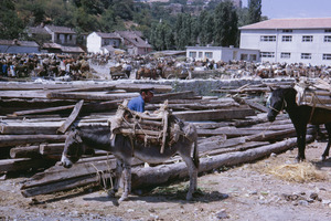 Donkey and lumber at market