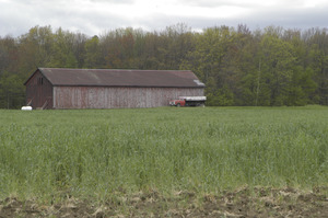 Tobacco barn and truck by a fallow field, Connecticut River Valley