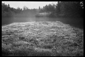 Cabin in a field in mist and morning light, Earth People's Park