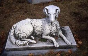 Newton Cemetery (Newton, Mass.) gravestone: dog