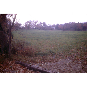 Field near Warren Center