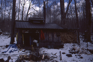 Drew Jones pouring sap at the Campbell Maple Sugar House in the sugarbush.