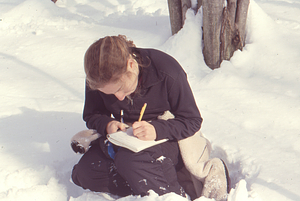 ENVI 102 - Introduction to Environmental Science - Ford Glen Brook Field Site. Art of field sketching lab. Bethie Miller (Class of 2003).