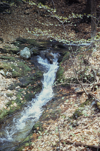 South Branch Birch Brook between gauging station and Diana's Bath.