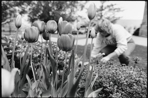 Groundsperson Barbara Tully planting flowers in front of Gasson
