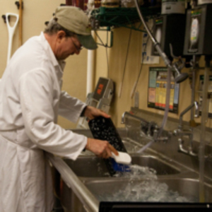 Cleaning meat trays