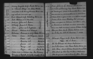 Tewksbury Almshouse Intake Record: Champs, Lizzie