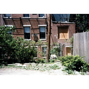 View of the weedy, overgrown lot behind 326 Shawmut Avenue, prior to its renovation into affordable housing known as Residencia Betances.