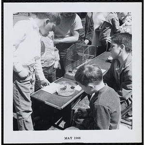 Two boys sitting with their pets while three others stand in front of them and read a sign on the table at a Boys' Club Pet Show