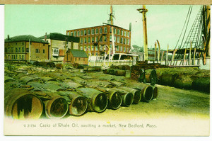 Casks of whale oil, awaiting a market, New Bedford, Mass.