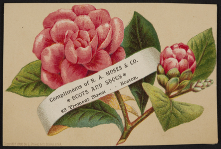 Trade card for N.A. Moses & Co., boots and shoes, 43 Tremont Street, Boston, Mass., 1878