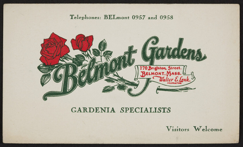 Trade card for Belmont Gardens, gardenia specialists, 170 Brighton Street, Belmont, Mass., 1920-1940