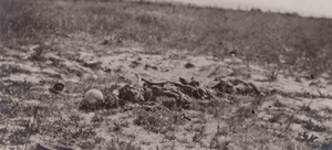 Human remains lying in a field