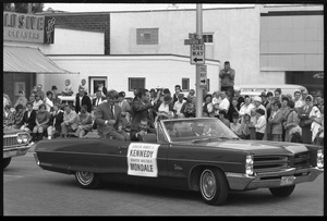 Robert F. Kennedy (left) and Walter Mondale riding in an open car at the Turkey Day parade while stumping for Democratic candidates in the northern Midwest