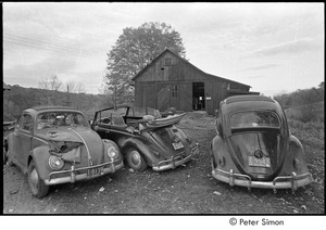 Three Volkswagen Beetles in front of a barn