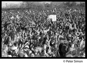 View of the massive crowd, raising fingers in peace sign: Vietnam Moratorium march on Washington