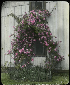 Janitor's house