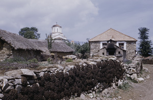 Cattle dung drying on wall