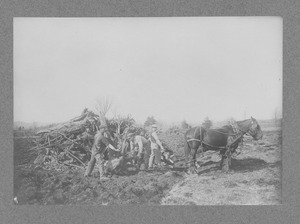 Campus Views, Fields and Gardens