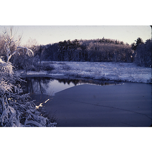 Icy pond