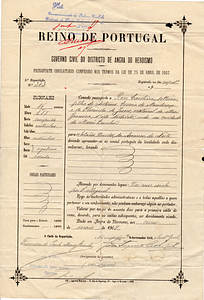 Rosa Mendonça Passport