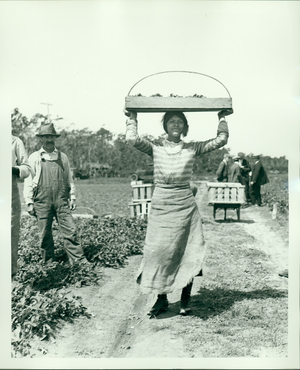 Woman holding basket of strawberries, undated