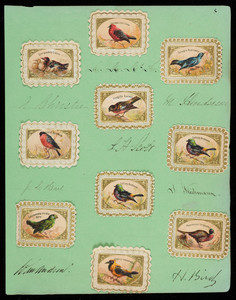 Sheet of bird labels, location unknown, undated