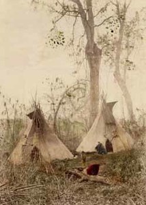 Tepees of the Sioux Indians, Minnesota