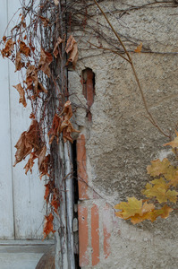 Eroded stucco next to entrance to the Cow Barn