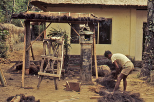 Man preparing thatch for roof