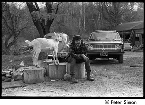 Michael Gies, seated on a stump next to a goat, Packer Corners commune
