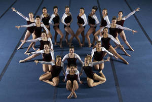 SC 2002-2003 women's gymnastics team