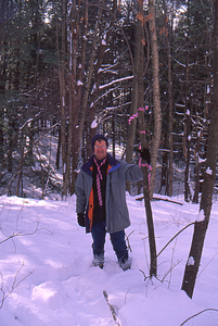 ENVI 102 - Introduction to Environmental Science - Ford Glen Brook Field Site. 2. Hemlocks on Ford Glen Brookside.