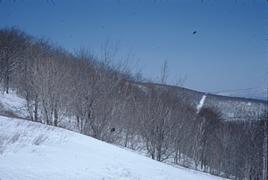 Mt. Greylock from Petersburg Pass Panorama in early spring. North image.